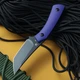 Ніж Фіксований BESTECH STEP BFK06C - зображення 2