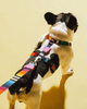 Шлейка для собак Zee.Dog Prisma Розмір XS (85296) - зображення 4