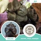 Бальзам проти сухості лапок Paw Soother Natural Dog Company 30мл туба (ND-PAWS-1T) - зображення 4