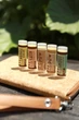 Natural Dog Company Набір дорожніх версій бальзамів PowerHouse Travel Stick (ND-BUND-01-A) - зображення 2