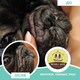 Бальзам для складочок Wrinkle Balm Natural Dog Company ND-WRBM-1T 30мл туба - зображення 2