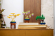 Zestaw klocków LEGO Botanicals Małe drzewka Bonsai 709 elementów (10373) - obraz 14