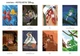 Розмальовка номерів Disney Hachette Coloriages mysteres Petites bêtes Франція - зображення 4