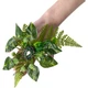 Кільце Лісова німфа SETA Decor 25-596GR - зображення 1