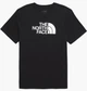 Футболка The North Face Evolution Half Dome Black NF0A8B6JKY4 S - зображення 1
