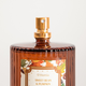 Ароматичний спрей Homla Pumpkin Grove Sweet Bean & Pumpkin 100 мл (5906496747915) - зображення 2