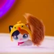 Рандомний набір Kitten Ollie - зображення 5