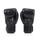 Боксерські рукавиці Fairtex BGV1 Universal Gloves Nation Black (BGV1-NATBK-12oz) - зображення 3