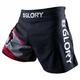 Шорты Hayabusa Glory Kickboxing Shorts Black (GHKBS-BK-S) - изображение 2