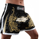 Тайские шорты Hayabusa Premium Muay Thai Shorts Black (HPM-BL-36) - изображение 3