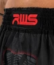 Тайские шорты RWS x Venum Muay Thai Short Black (VENUM-04898-001-L) - изображение 3