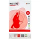 Бумага Maestro офисная Standart+, Mondi, 80г/м2, А4, класс В+, 500л - изображение 1