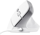 Mysz Trust Bayo II Ergon USB White (TR25397) - obraz 2