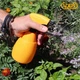 Опрыскиватель ручной VOLPI 3405 0,5 л (3405) - изображение 12