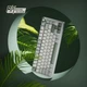 Клавіатура Ігрова ROYAL KLUDGE R75 Біло-Салатова Дротова Механічна, RGB Підсвічування, З Підтримкою HOT-SWAP. Silver Switch - зображення 8