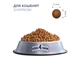 Сухий корм для кішок Club 4 Paws Premium. Для котят зі смаком курки 300 г (4820083909115) - зображення 3
