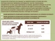 Витаминный комплекс для суставов и связок собак Natural Dog Company Hip&Joint 90 шт (ND-HAJS-90) - изображение 5