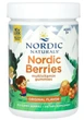 Витамины для детей от 3 лет Nordic Naturals Multivitamin Gummies 200 жевательных таблеток лесные ягоды в упаковке (ARE-575225) - изображение 1