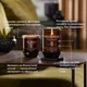 Свічка з ароматом базиліку і листя томатів Tomato leaf & basil RENEW Woodwick (1726353E) - зображення 6