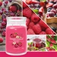 Ароматическая свеча Red Raspberry Medium Yankee Candle - изображение 7