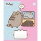 Зошит учнівський шкільний Yes Pusheen Funny А5 12 аркушів клітинка (767602) - зображення 3