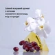 Шампунь Milk_Shake Icy Blond Shampoo для светлых и платиновых блондинок 50 мл (8032274175124) - изображение 5