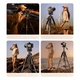 Штатив-трипод Tripod Stand Multifunctional ¼ Rtako VT-990S 1.90m - изображение 10