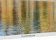 Телевізор Thomson 40" 40FG2S14W - зображення 3