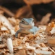 Натуральная древесная подстилка Aventerra DRAGOON Alder Small 4л для рептилий, пауков и грызунов - изображение 3