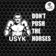 Наклейка на авто Oracal Don't push the horses Не жени коней Усик боксер Белая 30х19см (SP002-3) - зображення 2