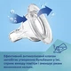 Бутылка антиколиковая с широким отверстием 300 мл Easystart Sleepy Koala Canpol babies Синя (5901691881686) - изображение 2