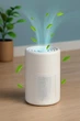 Очиститель воздуха портативный USB с HEPA фильтром настольный очиститель для удаления формальдегида белый - изображение 1