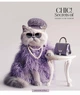 Комплект 5 шт загальних зошитів Fashion chic. Зошит Школярик 36 арк. у клітинку 3458 4823088231281 - изображение 2
