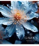 Комплект 5 шт загальних зошитів Macro world. Зошит Школярик 48 арк. у клітинку 3427 4820006471354 - изображение 6