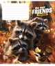Комплект 5 шт учнівських зошитів The best friends. Зошит Школярик 12 арк. у косу лінію 3434 4820006473204 - изображение 3
