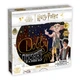 Пазл HARRY POTTER Dobby (Гаррі Поттер) 250 (WM02695-ML1-6) - зображення 1