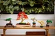 Конструктор LEGO Botanicals Мінідерева бонсай 709 деталей (10373) - зображення 9
