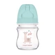 Бутылка с широким антиколиковым отверстием Easystart Toys 120 мл Canpol Babies Зеленая (5901691812956) - изображение 1