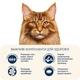 Корм для кошек крупных пород Home Food с телятиной, лососем и вялеными томатами 5кг (на развес) - изображение 4
