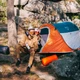 Намет чотиримісний Bestway NuCamp 240 х 210 х 100 см (68006) - зображення 2