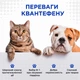 Квантефен (Kvantefen) антигельмінтні таблетки для собак та котів 1 таб на 10кг (4 табл.), MODES (від бліх, від кліщів, від гельмінтів) - зображення 4