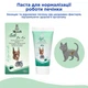 Паста Др. КІС Гепатік (Paste Dr.KIS Hepatic) для нормалізації роботи печінки собак та котів 50 г, MODES - зображення 1