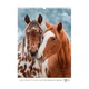 Настенный календарь А3 Axent Horses "Символ года - Огненный конь" 2026 200 г/м2 13 листов на пружине (8804-26-3-A) - изображение 13