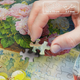 Puzzle CherryPazzi Grape splendor 1000 elementów 30950 (5903728730950) - obraz 5