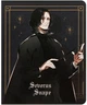 Набір шкільних зошитів Kite Harry Potter 24 аркуші у клітинку 20 шт (HP25-238) - зображення 18