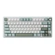 Игровая проводная клавиатура Royal Kludge RK R75 75% RGB USB Green and White - изображение 3