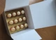 Лосьйон-догляд поживний в ампулах Beauty Exp Nutry Care Lotion Emmebi 12*10мл - зображення 2