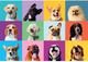 Puzzle Clementoni Super Funny Faces 300 elementów 21739 (8005125217397) - obraz 2