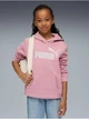 Подростковое теплое худи на флисе для девочки Puma Ess No. 1 Logo Hoodie Fl G 68489665 152 см Розовое (4069157720243) - изображение 1
