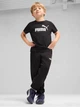 Детские спортивные штаны теплые на флисе для мальчика Puma Ess No. 1 Logo Sweatpants Fl Ps 68493301 116 см Черные (4067983685804) - изображение 3